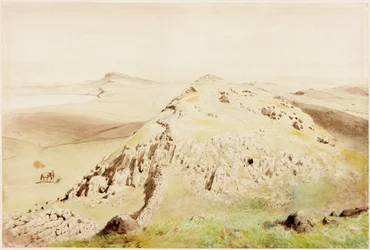 Rapishaw Gap (kropsfarve)